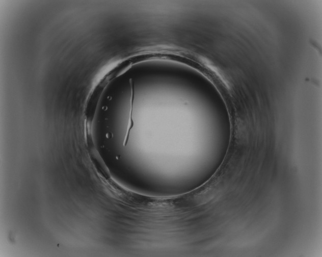 X0000092111320200709121611