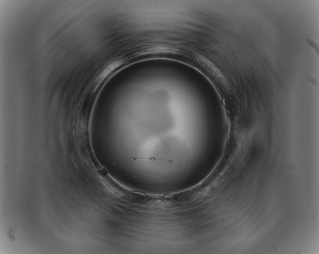 X0000092111321200709121611