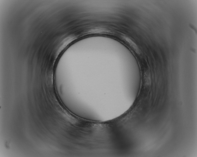 X0000092111322200709121611