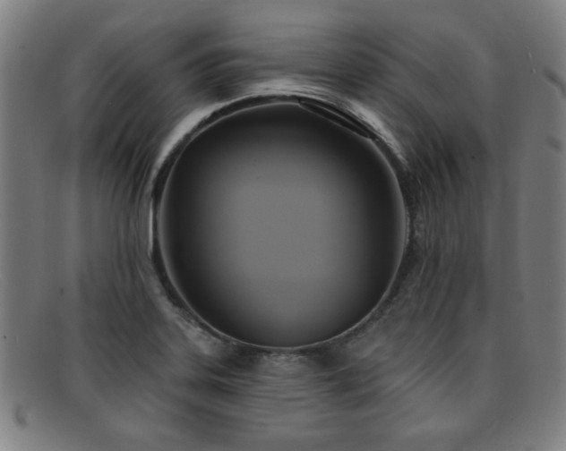 X0000092111323200709121611