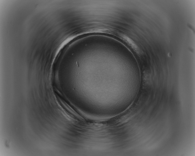 X0000092111324200709121611