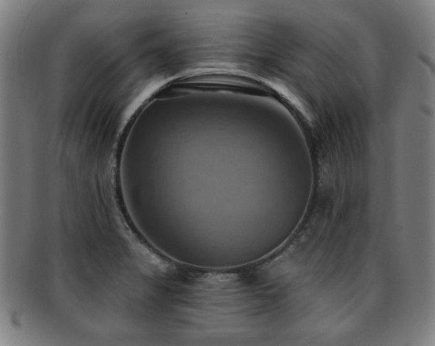 X0000092111325200709121611