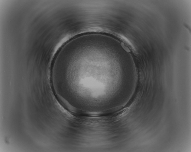 X0000092111326200709121611