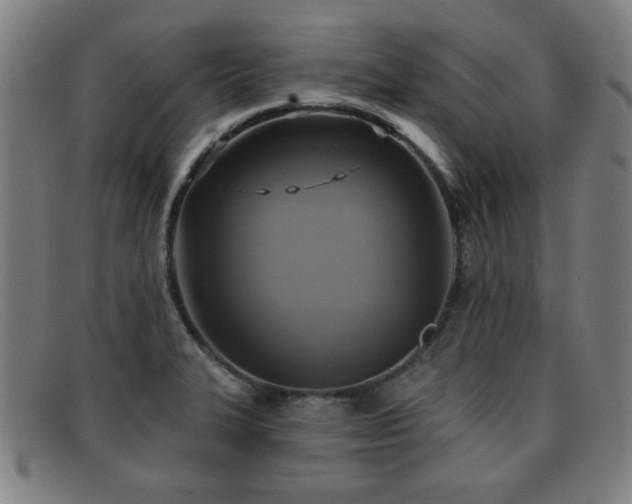 X0000092111327200709121611