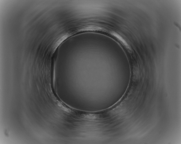 X0000092111329200709121611