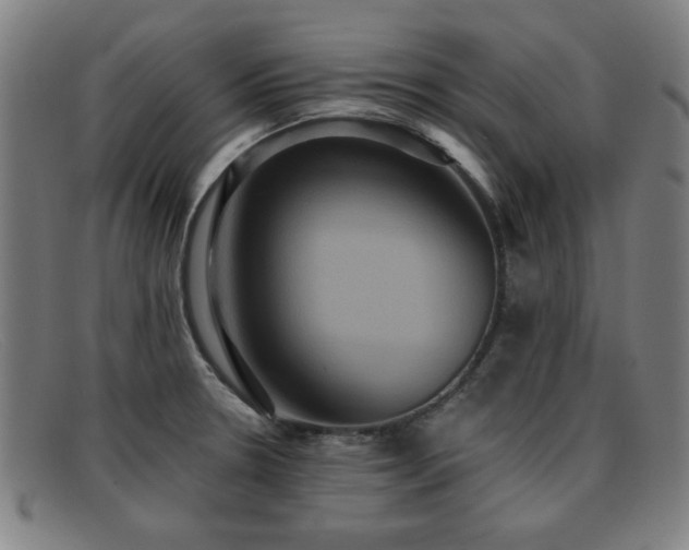 X0000092111330200709121611