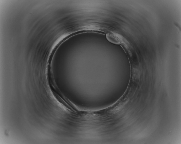 X0000092111331200709121611