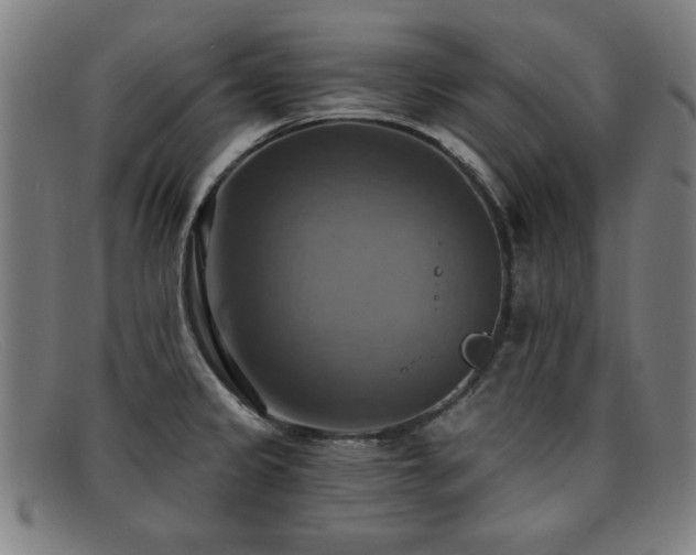 X0000092111333200709121611