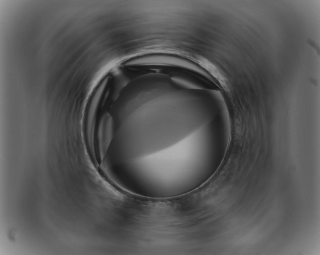 X0000092111334200709121611