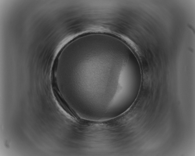 X0000092111335200709121611