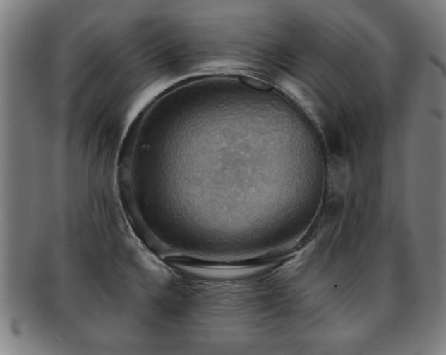 X0000092111336200709121611