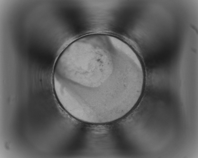 X0000092111338200709121611