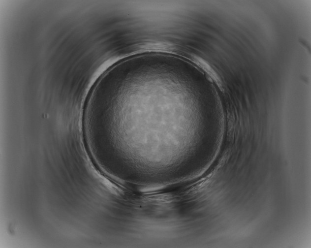 X0000092111339200709121611