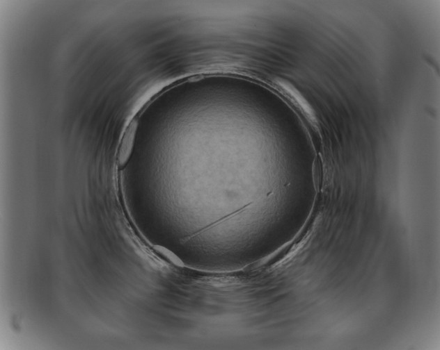 X0000092111340200709121611