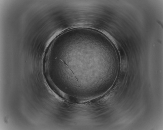 X0000092111341200709121611