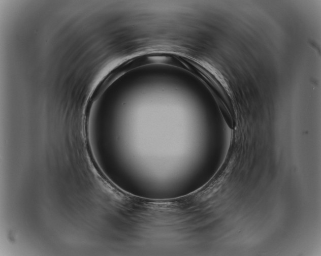 X0000092111342200709121611