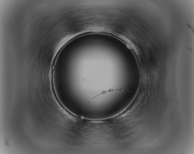 X0000092111343200709121611