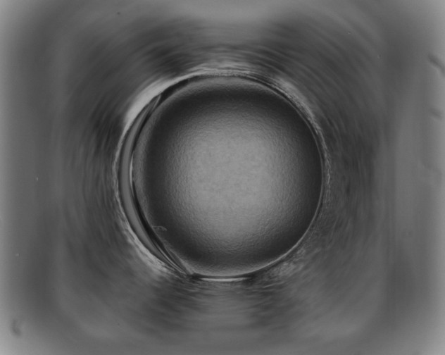 X0000092111344200709121611