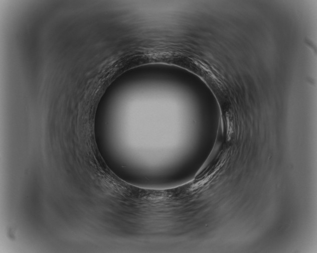 X0000092111345200709121610