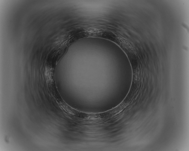 X0000092111346200709121610