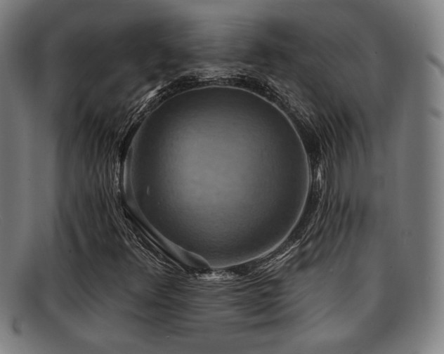 X0000092111348200709121610