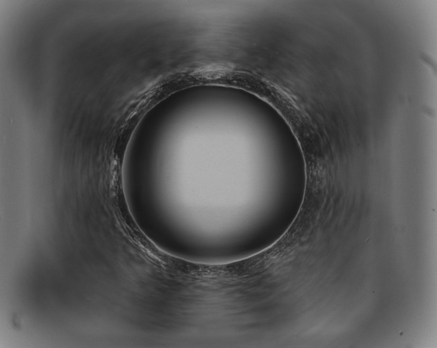 X0000092111349200709121610