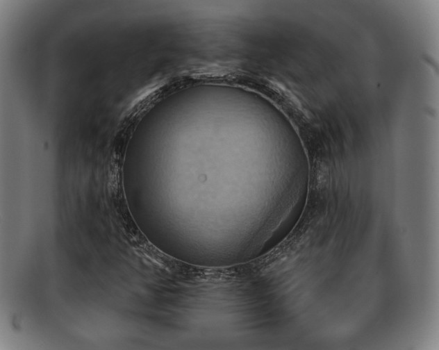 X0000092111350200709121610