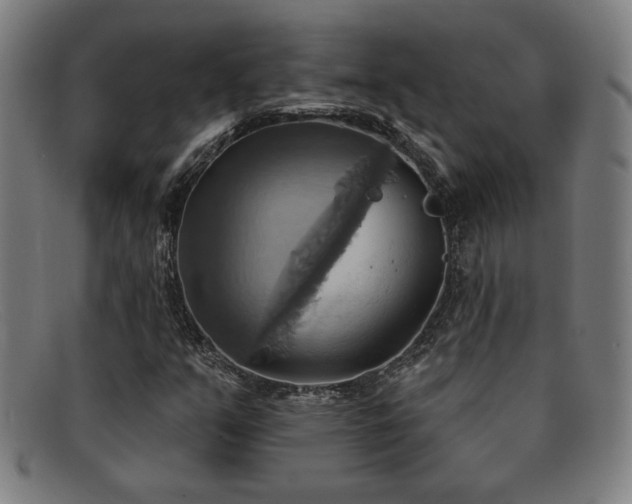 X0000092111351200709121610