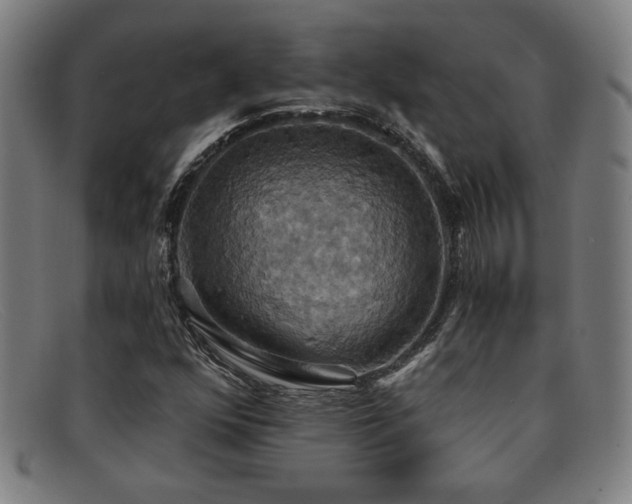 X0000092111352200709121610