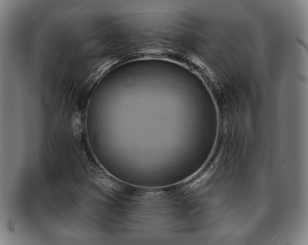 X0000092111353200709121610