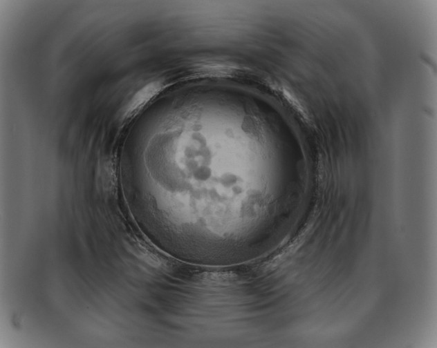 X0000092111354200709121610