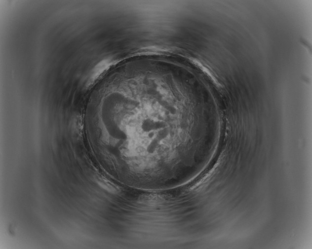 X0000092111355200709121610