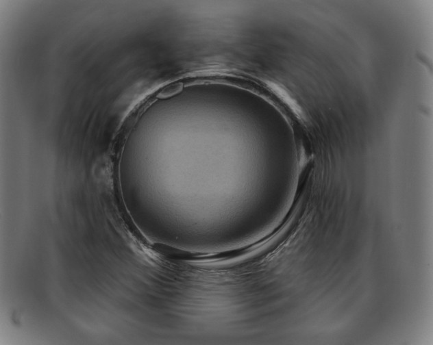 X0000092111356200709121610