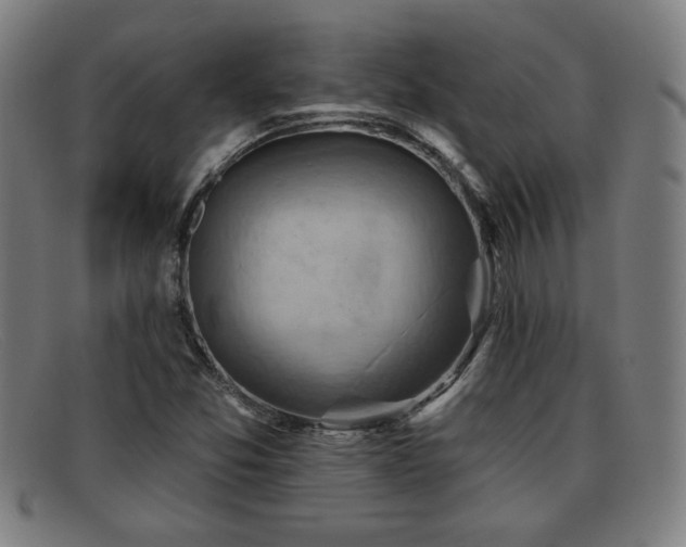 X0000092111357200709121610