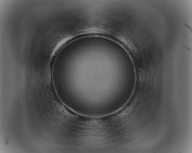 X0000092111358200709121610