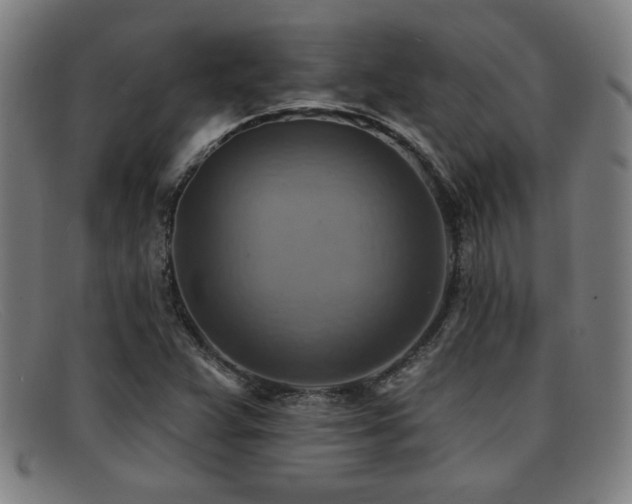 X0000092111359200709121610