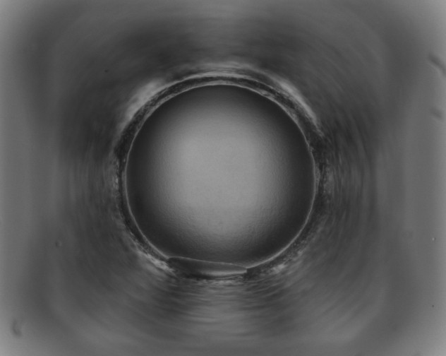 X0000092111360200709121610