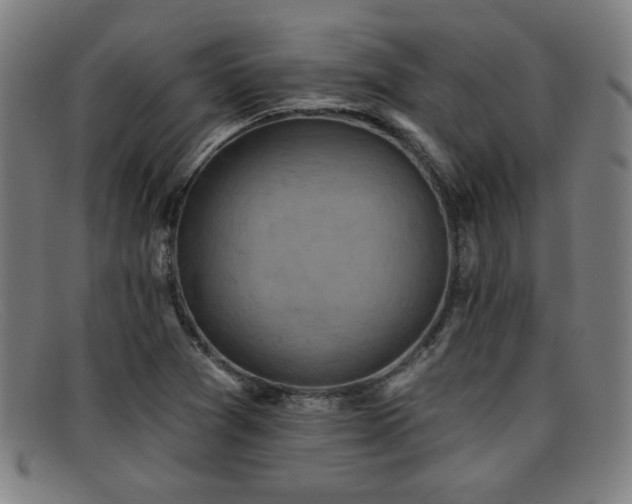 X0000092111361200709121610