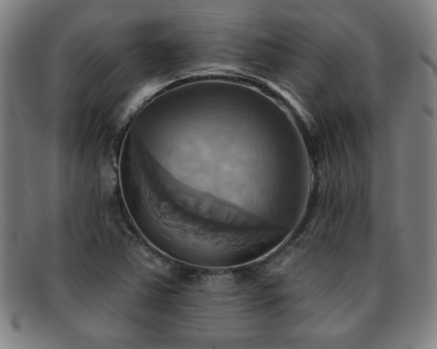 X0000092111363200709121610