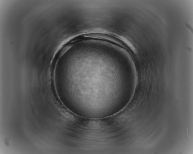 X0000092111364200709121610