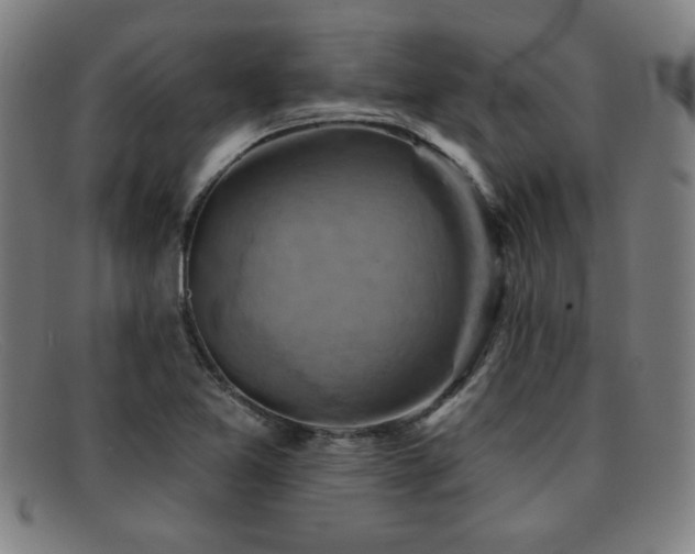 X0000092111365200709121610