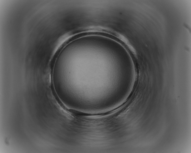 X0000092111368200709121610