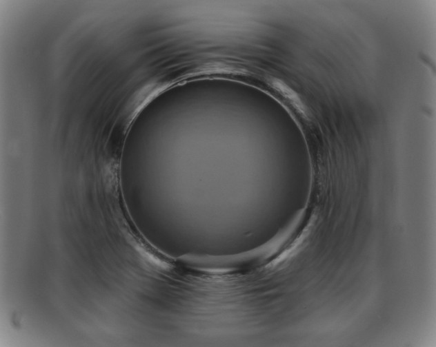 X0000092111369200709121610