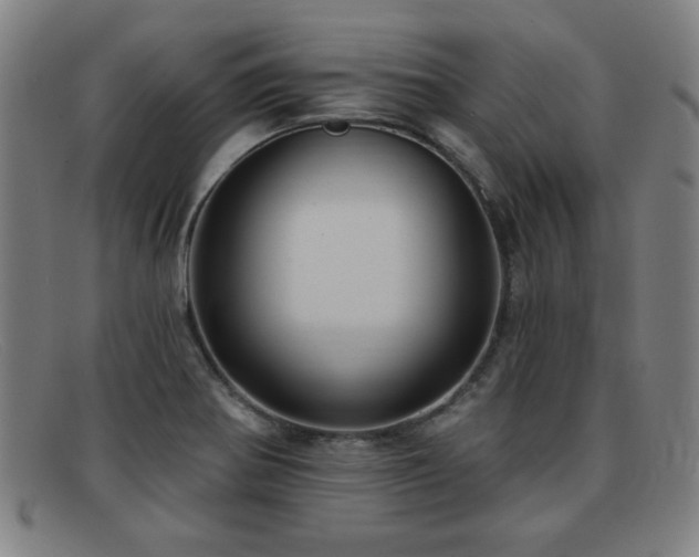 X0000092111370200709121610