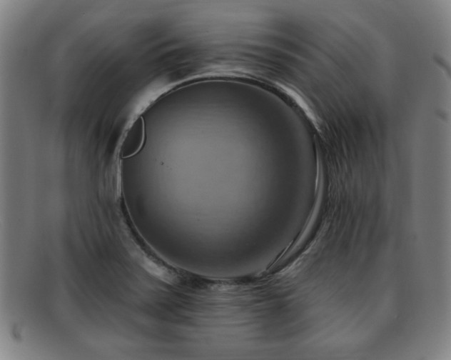 X0000092111371200709121610