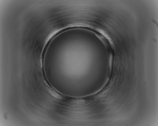 X0000092111372200709121610