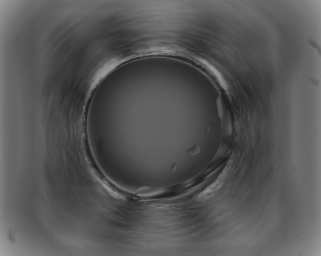 X0000092111373200709121610