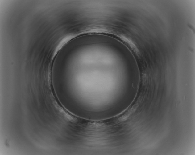 X0000092111374200709121610