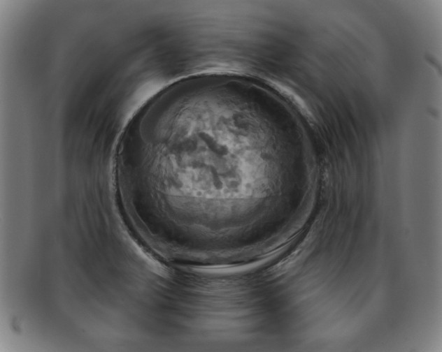 X0000092111375200709121610