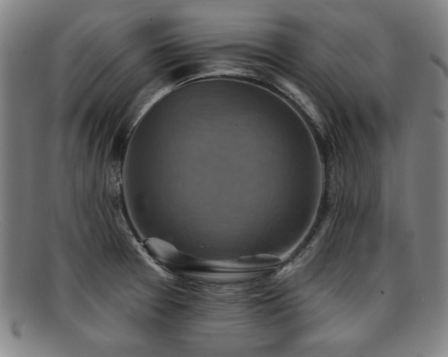 X0000092111377200709121610